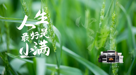 十大品牌科恩集成灶：廚房亦需“小滿(mǎn)”！